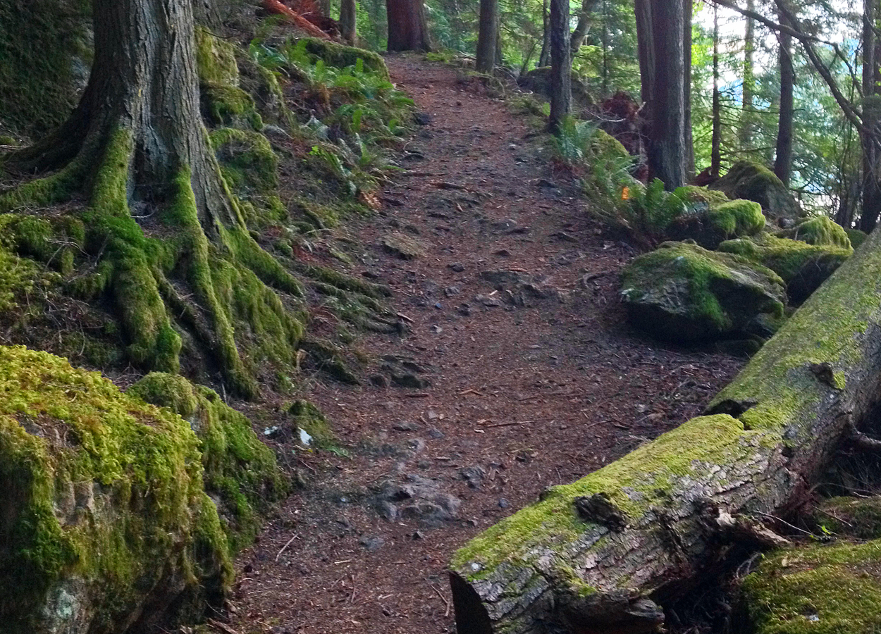 Hiking from your glamping site: Cascade Falls - LEANTO ®